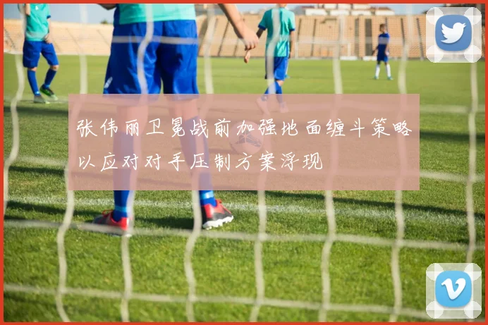 张伟丽卫冕战前加强地面缠斗策略以应对对手压制方案浮现