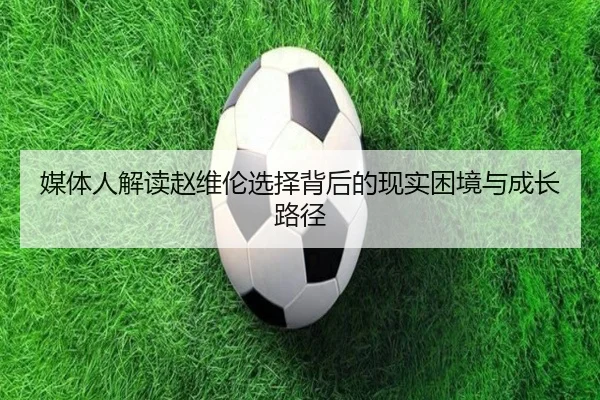 媒体人解读赵维伦选择背后的现实困境与成长路径